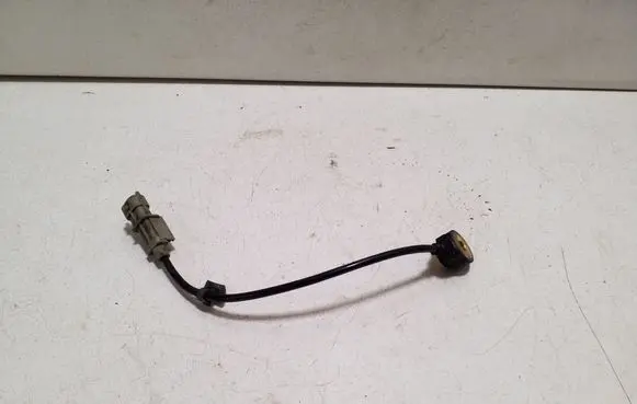 KIA Soul Detonation knock sensor 0261231228 392502B000