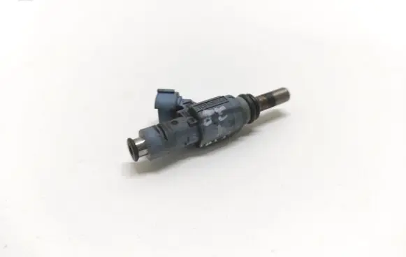 Volkswagen Phaeton Fuel injector 0280157012 022906031J