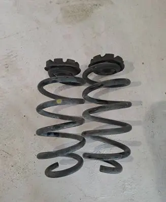 Renault Zoe Rear coil spring