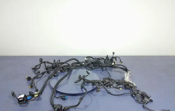 BMW X5 E53 Other wiring loom 7822120