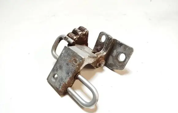 Volkswagen PASSAT B6 Front door lower hinge 