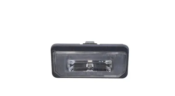 Infiniti M Y51 Front seat light 103434100B