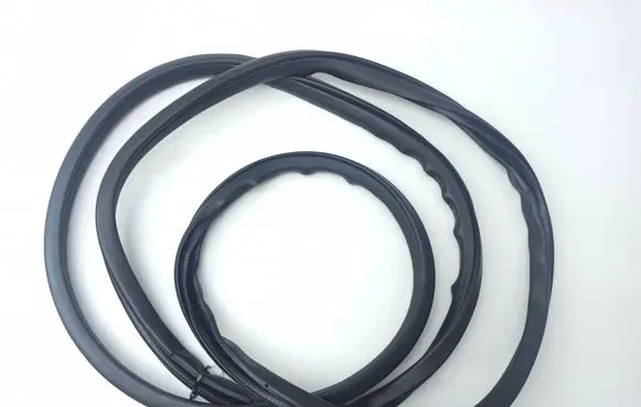 Nissan Navara D23 Front door rubber seal 9E200854