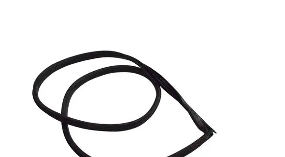 Ford Fiesta Rubber seal front coupe door D1M2A