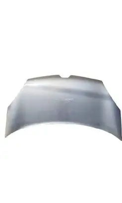Renault Kangoo III Engine bonnet/hood