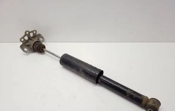 Fiat Punto (199) Rear shock absorber/damper 5570045