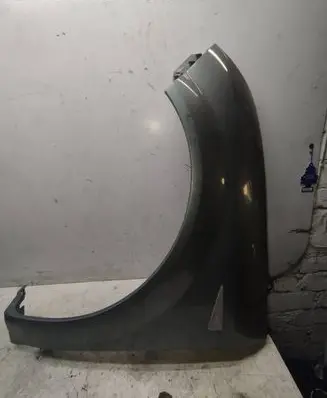 Renault Scenic II - Grand scenic II Fender