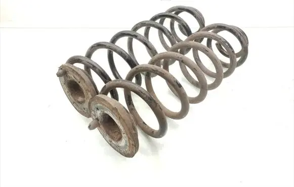 Rear coil spring
