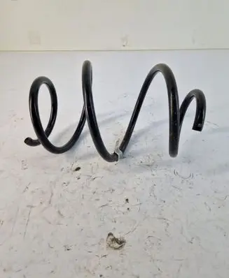 Front coil spring