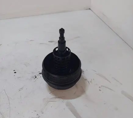 BMW 5 E39 Oil filter cover 1744000