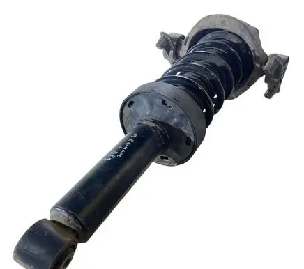 Porsche Cayenne (92A) Rear shock absorber with coil spring 7P5513029 7P0512087 7P0512345