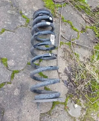 Rear coil spring