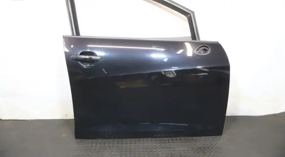 Seat Ibiza IV (6J,6P) Front door