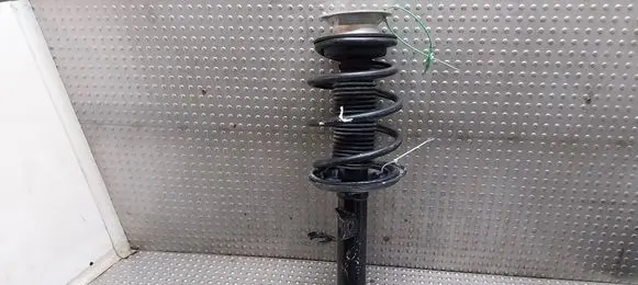 BMW X3 E83 Front shock absorber/damper 3411619