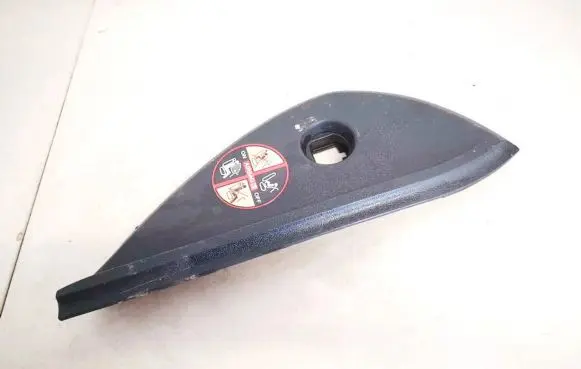 Renault Laguna III Other interior part 689200001r