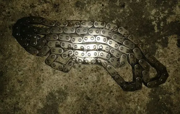 Ford Transit Timing chain (engine) 