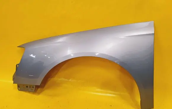 Volkswagen PASSAT B6 Fender