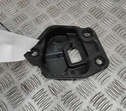 Rear/tail light trim molding