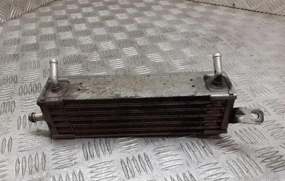 Fiat Punto (188) Engine oil radiator B982