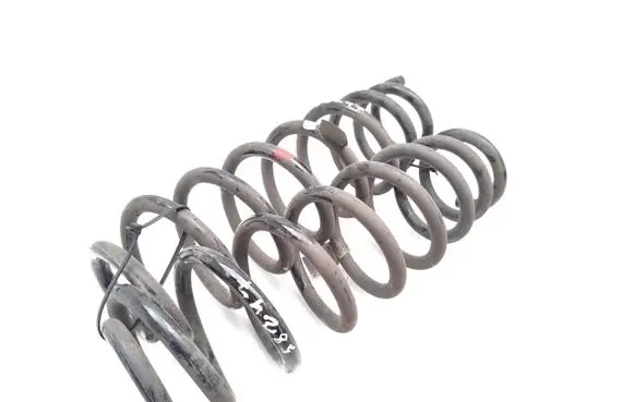 Rear coil spring