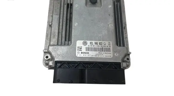 Volkswagen Transporter - Caravelle T5 Engine control unit/module 03L907309K 03L906022CJ 0281016387