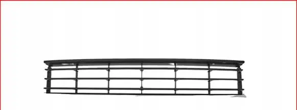 Volkswagen PASSAT B7 Front bumper lower grill 