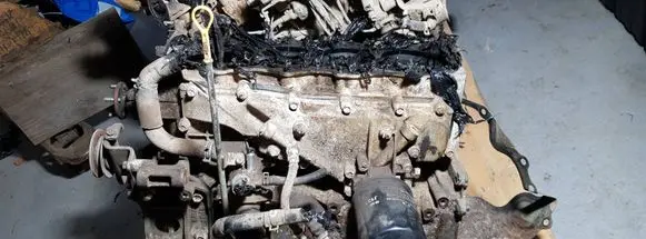 Mazda BT-50 Engine