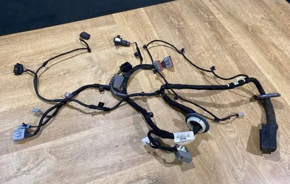 Front door wiring loom
