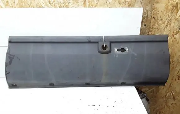 Fiat Iveco Daily Rear door trim (molding)