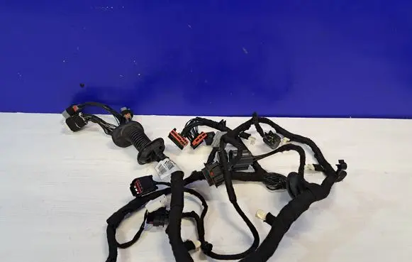 Jaguar XJ X351 Front door wiring loom FW9314631AF 55X6DD101