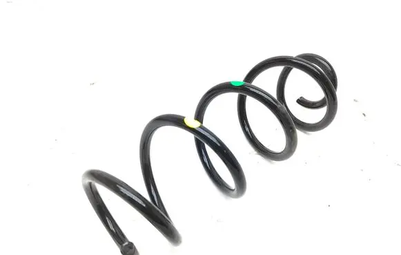 Rear coil spring