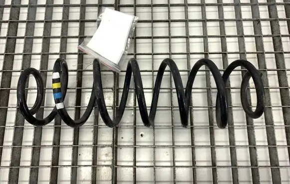 Rear coil spring