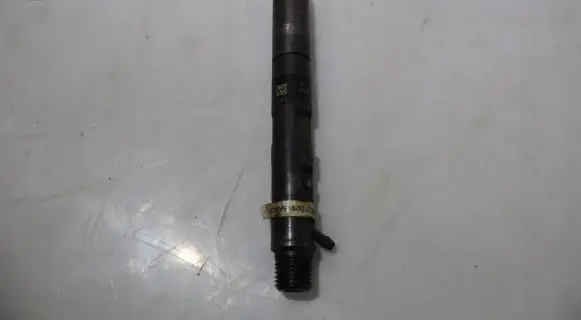 Renault Megane II Fuel injector