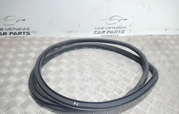 Opel Insignia A Front door rubber seal