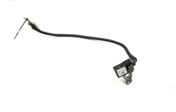 Mercedes-Benz C W204 Negative earth cable (battery) A1665420418