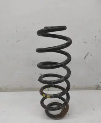 Rear coil spring