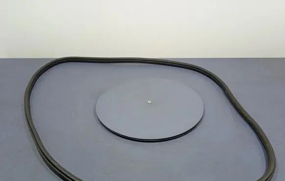 BMW X3 E83 Front door rubber seal 7393423