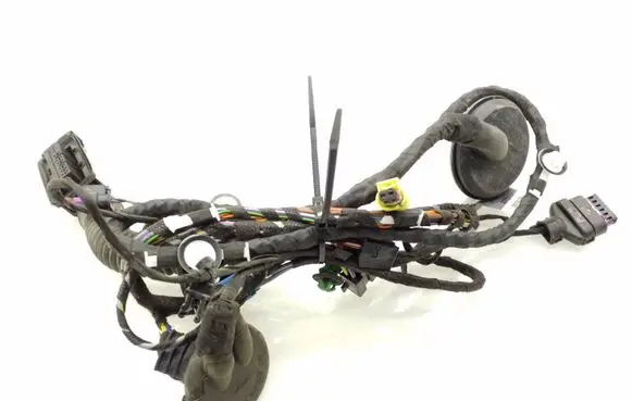 Audi TT TTS RS Mk3 8S Front door wiring loom 8S0971030B