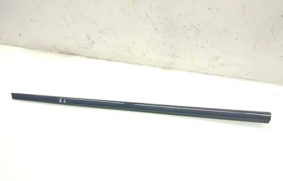 Dodge Grand Caravan Rear door trim (molding) 