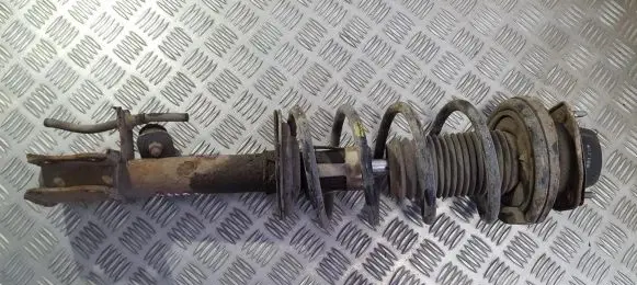Chevrolet Lacetti Rear coil spring