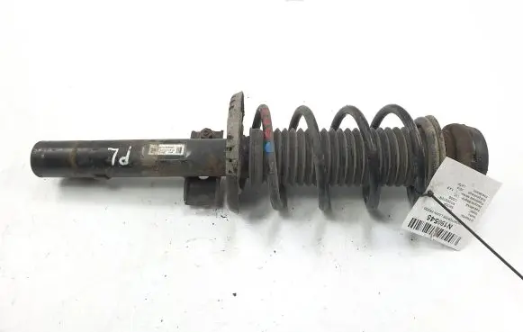 Skoda Roomster (5J) Front shock absorber/damper 6Q0413031BJ