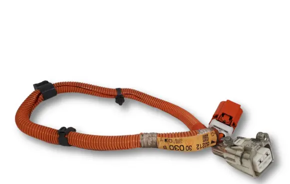 Lexus GS 300 350 430 450H Other wiring loom 8221230030B 8282148050
