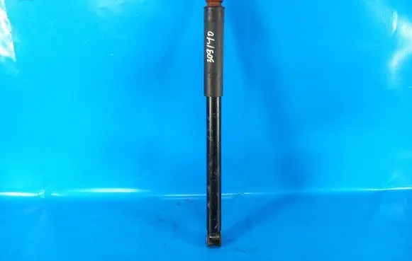 Ford Ecosport Front shock absorber/damper GN1Z18125AX