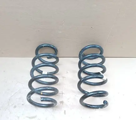Tesla Model Y Rear coil spring 228847400A