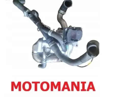 Renault Trafic III (X82) Throttle body valve H8201068965 147100789R GQ0820071