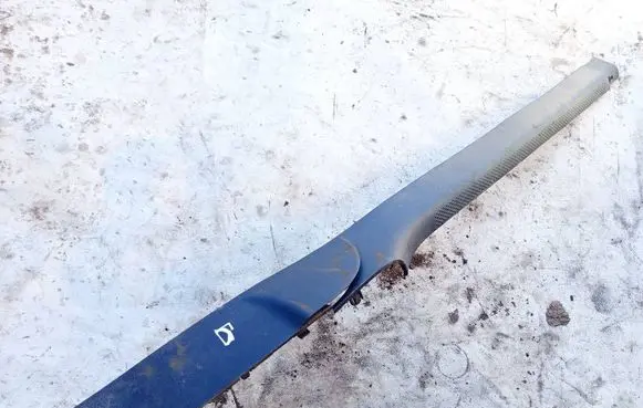 Skoda Superb B5 (3U) Front sill trim cover 3U5853370