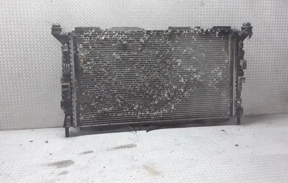 Ford Focus C-MAX Coolant radiator