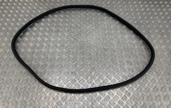 KIA EV3 Rear door rubber seal (on body)