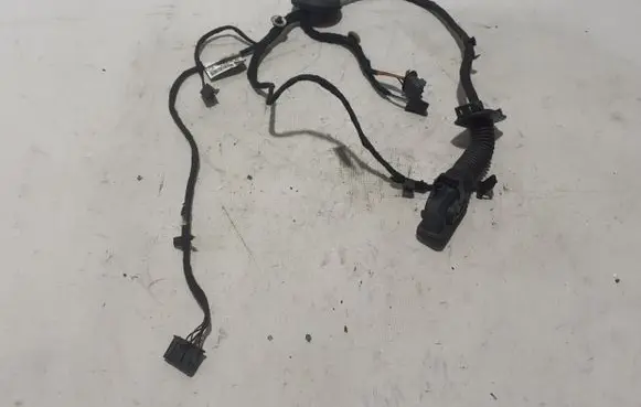 Cupra Formentor Other wiring loom 5FA971161H