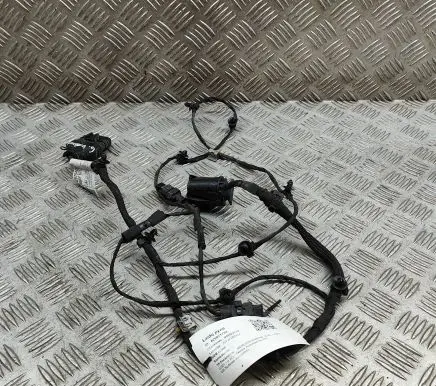 Other wiring loom